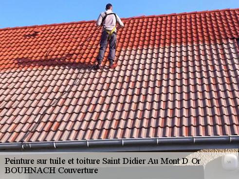 Peinture sur tuile et toiture saint-didier-au-mont-d-or-69370 BOUHNACH Couverture
