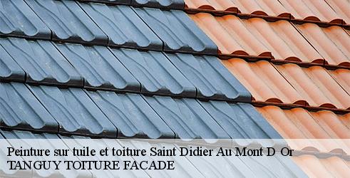 peinture-sur-tuile-et-toiture-tanguy-toiture-facade-10