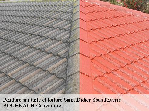 Peinture sur tuile et toiture saint-didier-sous-riverie-69440 BOUHNACH Couverture