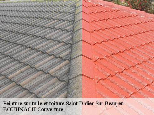 Peinture sur tuile et toiture saint-didier-sur-beaujeu-69430 BOUHNACH Couverture