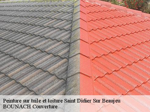 Peinture sur tuile et toiture saint-didier-sur-beaujeu-69430 BOUNACH Couverture