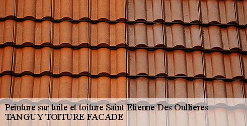 peinture-sur-tuile-et-toiture-tanguy-toiture-facade-4