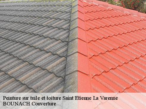 Peinture sur tuile et toiture saint-etienne-la-varenne-69460 BOUNACH Couverture