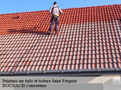 Peinture sur tuile et toiture saint-forgeux-69490 BOUNACH Couverture