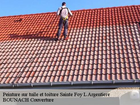 Peinture sur tuile et toiture  sainte-foy-l-argentiere-69610 BOUNACH Couverture 
