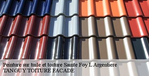 peinture-sur-tuile-et-toiture-tanguy-toiture-facade-7