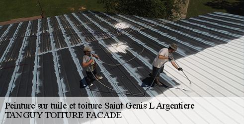 peinture-sur-tuile-et-toiture-tanguy-toiture-facade-1