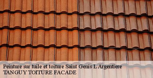 peinture-sur-tuile-et-toiture-tanguy-toiture-facade-4