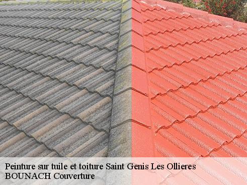 Peinture sur tuile et toiture saint-genis-les-ollieres-69290 BOUNACH Couverture