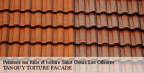 peinture-sur-tuile-et-toiture-tanguy-toiture-facade-4