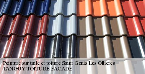 peinture-sur-tuile-et-toiture-tanguy-toiture-facade-7