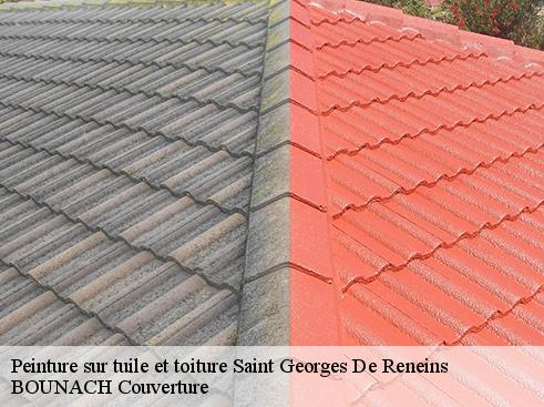 Peinture sur tuile et toiture saint-georges-de-reneins-69830 BOUNACH Couverture