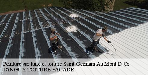 peinture-sur-tuile-et-toiture-tanguy-toiture-facade-1