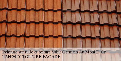peinture-sur-tuile-et-toiture-tanguy-toiture-facade-4