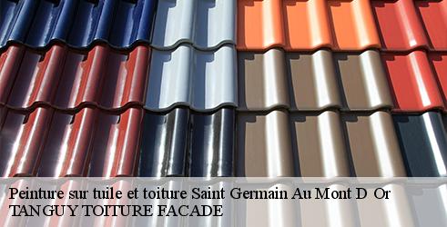 peinture-sur-tuile-et-toiture-tanguy-toiture-facade-7