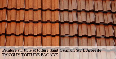 peinture-sur-tuile-et-toiture-tanguy-toiture-facade-4