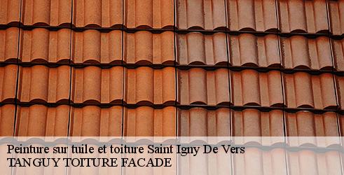 peinture-sur-tuile-et-toiture-tanguy-toiture-facade-4