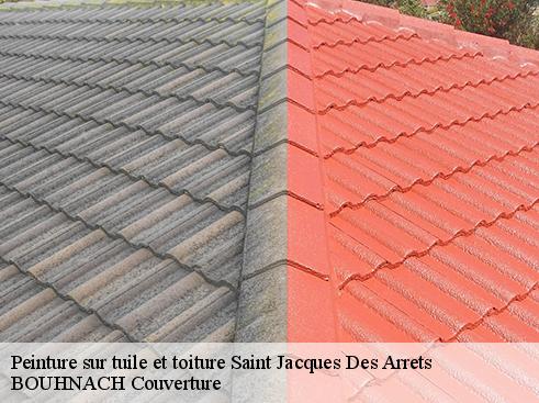 Peinture sur tuile et toiture saint-jacques-des-arrets-69860 BOUHNACH Couverture