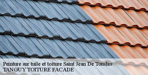 Peinture sur tuile et toiture TANGUY TOITURE FACADE