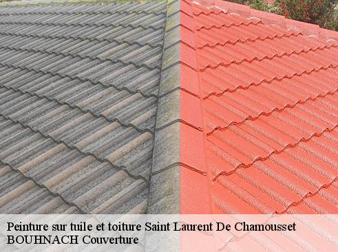 Peinture sur tuile et toiture saint-laurent-de-chamousset-69930 BOUHNACH Couverture