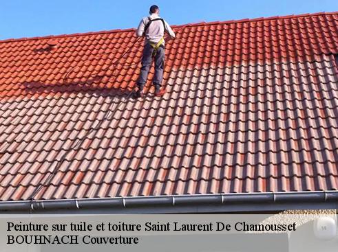 Peinture sur tuile et toiture saint-laurent-de-chamousset-69930 BOUHNACH Couverture