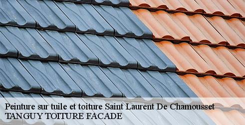 peinture-sur-tuile-et-toiture-tanguy-toiture-facade-10