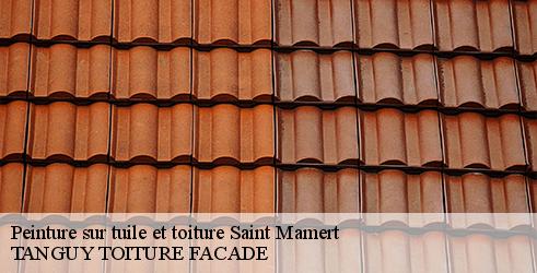 peinture-sur-tuile-et-toiture-tanguy-toiture-facade-4