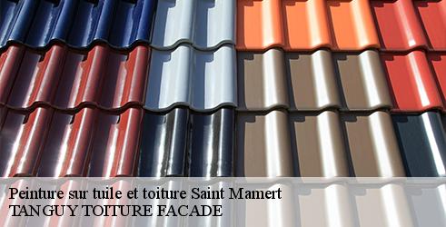 peinture-sur-tuile-et-toiture-tanguy-toiture-facade-7