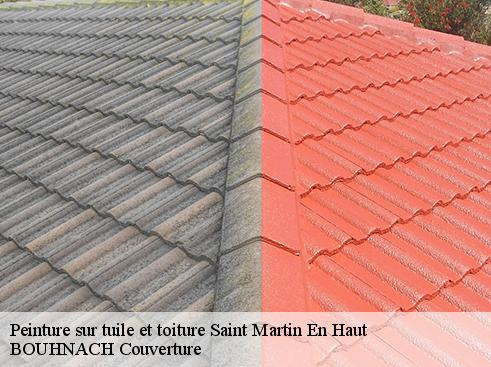 Peinture sur tuile et toiture saint-martin-en-haut-69850 BOUHNACH Couverture