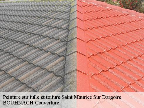 Peinture sur tuile et toiture saint-maurice-sur-dargoire-69440 BOUHNACH Couverture