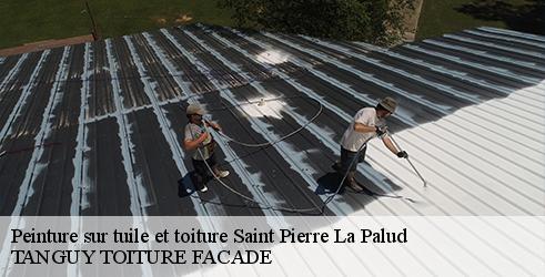 peinture-sur-tuile-et-toiture-tanguy-toiture-facade-1