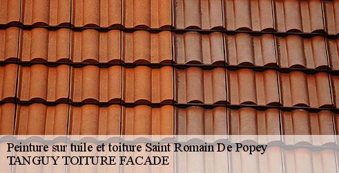 peinture-sur-tuile-et-toiture-tanguy-toiture-facade-4