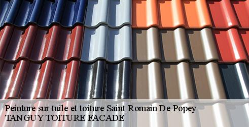 peinture-sur-tuile-et-toiture-tanguy-toiture-facade-7