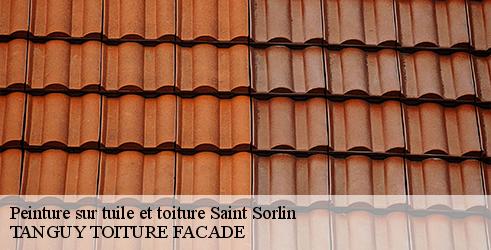 peinture-sur-tuile-et-toiture-tanguy-toiture-facade-4