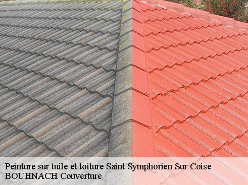 Peinture sur tuile et toiture saint-symphorien-sur-coise-69590 BOUHNACH Couverture