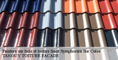 peinture-sur-tuile-et-toiture-tanguy-toiture-facade-7