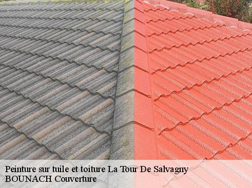 Peinture sur tuile et toiture la-tour-de-salvagny-69890 BOUNACH Couverture