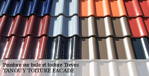 peinture-sur-tuile-et-toiture-tanguy-toiture-facade-7