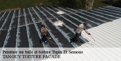 peinture-sur-tuile-et-toiture-tanguy-toiture-facade-1