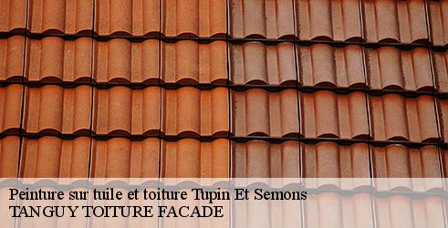 peinture-sur-tuile-et-toiture-tanguy-toiture-facade-4