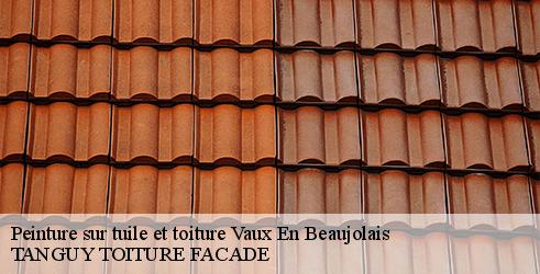 peinture-sur-tuile-et-toiture-tanguy-toiture-facade-4