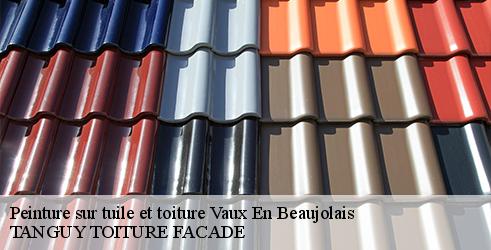 peinture-sur-tuile-et-toiture-tanguy-toiture-facade-7