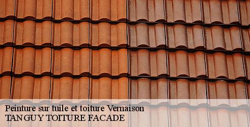 peinture-sur-tuile-et-toiture-tanguy-toiture-facade-4