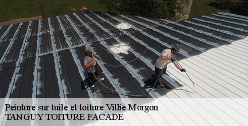 peinture-sur-tuile-et-toiture-tanguy-toiture-facade-1