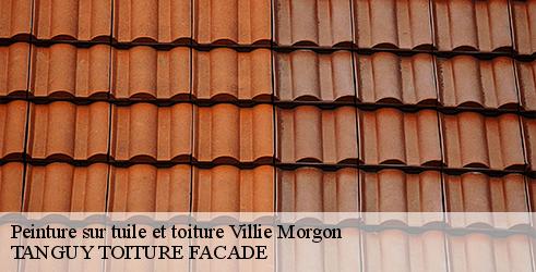 peinture-sur-tuile-et-toiture-tanguy-toiture-facade-4