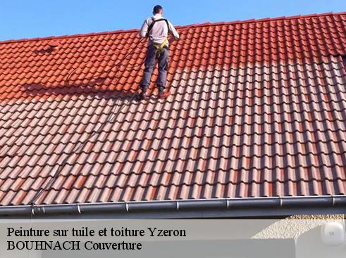Peinture sur tuile et toiture yzeron-69510 BOUHNACH Couverture