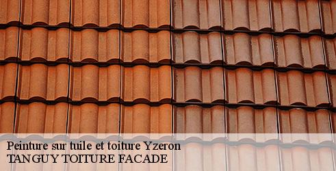 peinture-sur-tuile-et-toiture-tanguy-toiture-facade-4