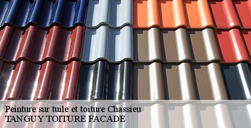 peinture-sur-tuile-et-toiture-tanguy-toiture-facade-7