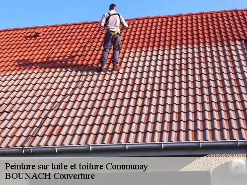 Peinture sur tuile et toiture  communay-69360 BOUNACH Couverture 
