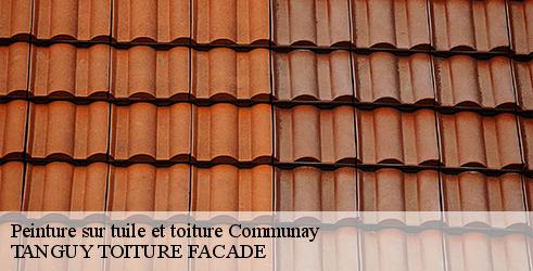peinture-sur-tuile-et-toiture-tanguy-toiture-facade-4